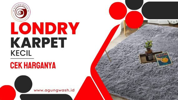 harga laundry karpet kecil pekanbaru